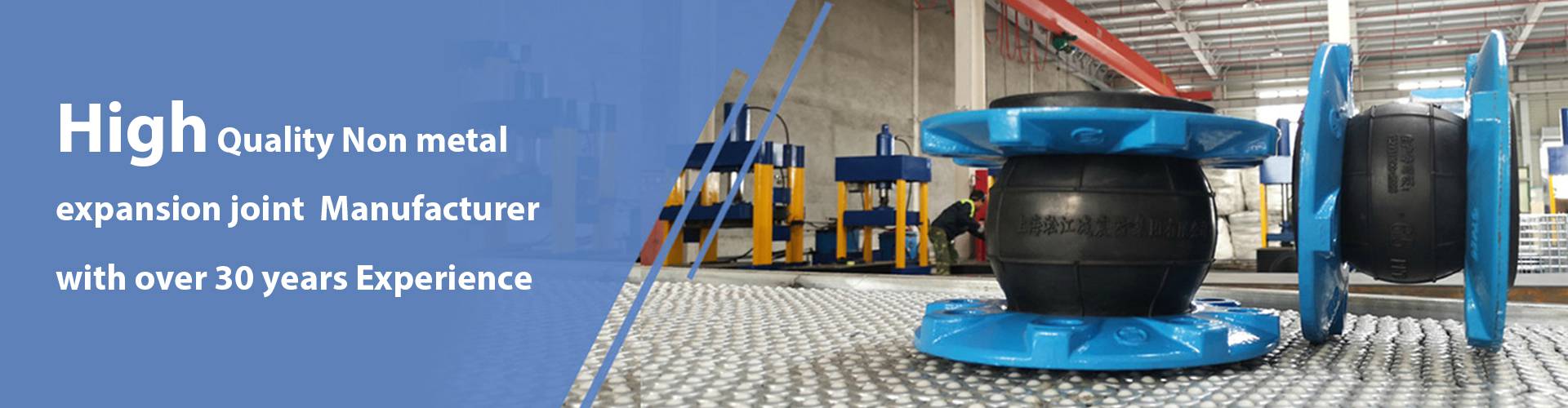 Expansion Joint